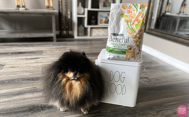 Purina Beneful Dog Food ONLY 73¢ (Reg $6)