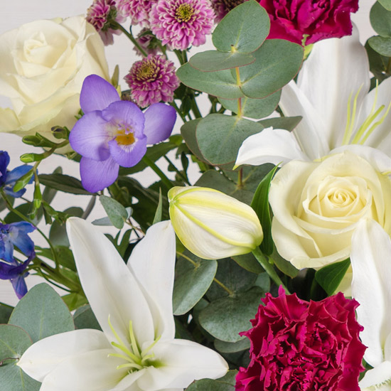 Serenata Flowers – Special Offers 30% off